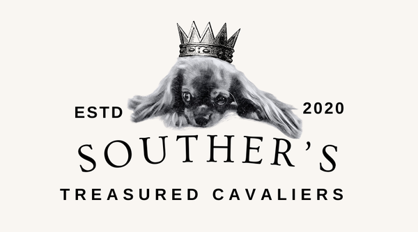 Souther's Treasured Cavaliers